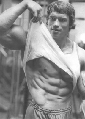 Arnold Schwarzenegger pic #86461